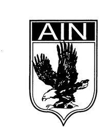 AIN logo