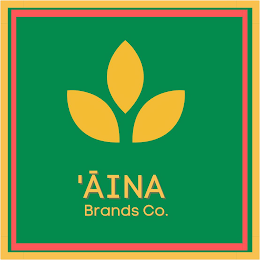 'AINA BRANDS CO. logo