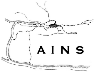 AINS logo