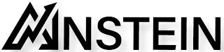 AINSTEIN logo