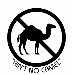 "AIN'T NO CAMEL" logo
