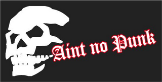 AINT NO PUNK logo