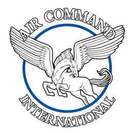 AIR COMMAND INTERNATIONAL logo