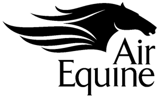 AIR EQUINE logo