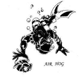AIR HOG logo