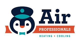 AIR PROFESSIONALS HEATING · COOLING logo