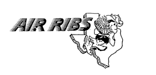 AIR RIBS logo