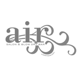 AIR SALON & BLOW DRY BAR AIRDRYBAR.COM logo