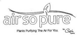 AIR SO PURE PLANTS PURIFYING THE AIR FOR YOU. BY COSTA FARMS logo