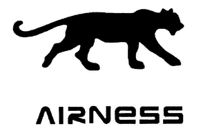 AIRNESS logo