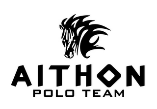 AITHON POLO TEAM logo