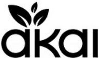 AKAI logo