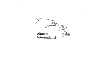 AKAMAI INTERNATIONAL logo