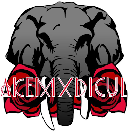 AKEM X DICUL logo