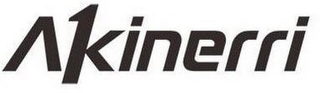 AKINERRI logo