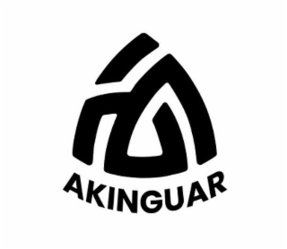 AKINGUAR logo