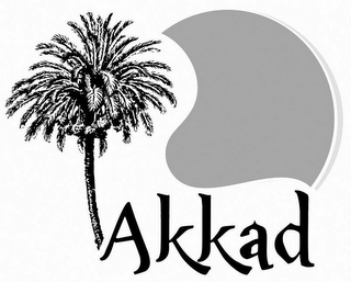 AKKAD logo