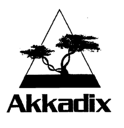AKKADIX logo