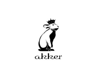 AKKER logo