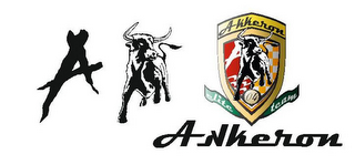 AKKERON ELITE TEAM 04 logo