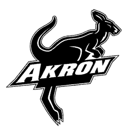 AKRON logo