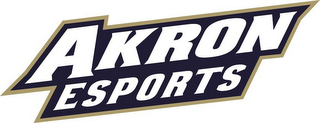 AKRON ESPORTS logo