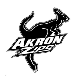 AKRON ZIPS logo