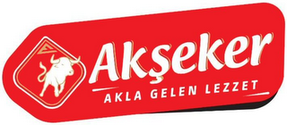 AKSEKER AKLA GELEN LEZZET logo