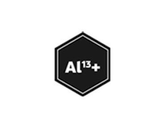 AL13+ logo