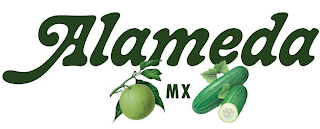ALAMEDA MX logo