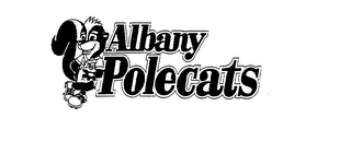ALBANY POLECATS logo