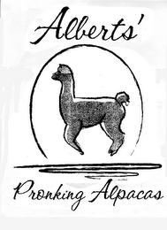 ALBERTS' PRONKING ALPACAS logo