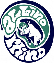 ALBINO RHINO logo