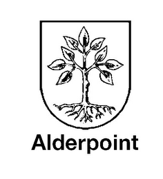 ALDERPOINT logo