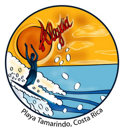 ALEGRIA PLAYA TAMARINDO, COSTA RICA logo