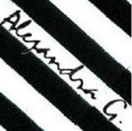 ALEJANDRA G. logo