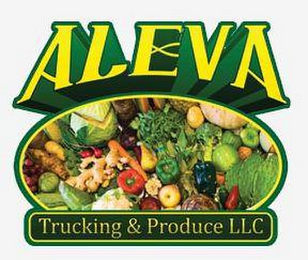 ALEVA TRUCKING & PRODUCE LLC logo