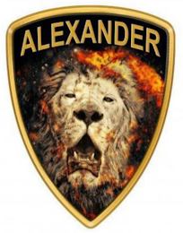 ALEXANDER BAGGER logo