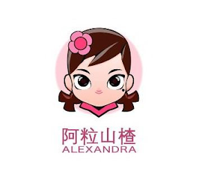 ALEXANDRA logo