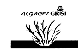 ALGACEL GRISI logo