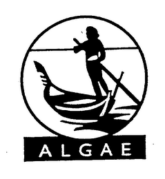 ALGAE logo