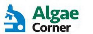 ALGAE CORNER logo