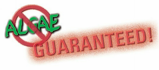 ALGAE GUARANTEED! logo