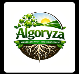 ALGORYZA MICROALGAE ROOT & SOIL ENHANCEMENT logo