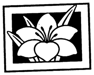 ALICIA KARPATI logo