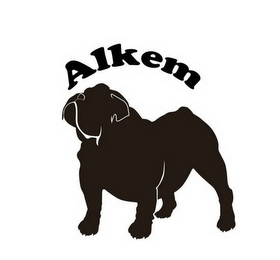 ALKEM logo