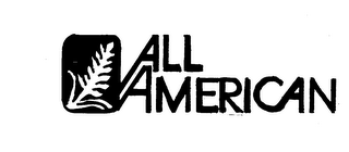 ALL AMERICAN logo