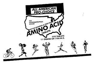 ALL AMERICAN PRO-CHOICE logo