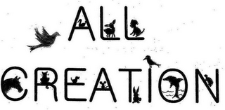 ALL CREATION logo