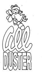 ALL DUSTER logo